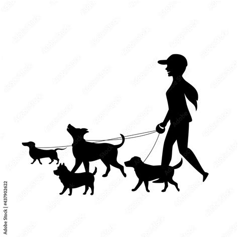 female dog walker sitter walking with group of pets silhouette vector ...