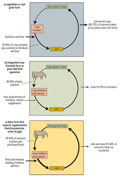 Ch 7 Carbon And Nutrient Cycles And Flows Sare