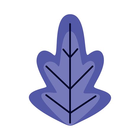 purple leaf plant foliage 13815000 Vector Art at Vecteezy