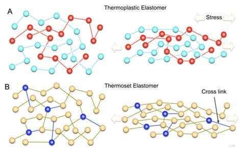 An introduction to elastomers - Lineart