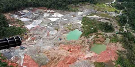 Biodiversidad De Chocó La Más Afectada Por La Minería A Cielo Abierto