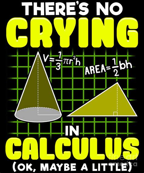 Theres No Crying In Calculus Ok Maybe A Little Digital Art By The