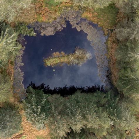 Creme Caramel Free Tight Pussy Porn Video XHamster