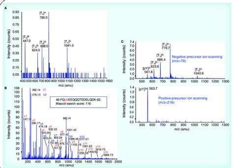 Ms Spectra Of Precursor Ion Scanning Of M Z A Spectrum Of