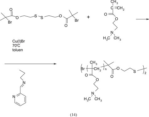 Poly N N Dimethylaminoethyl Methacrylate As A Bioactive