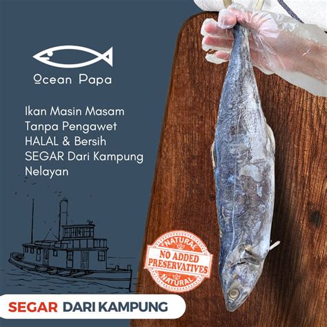 Isi Ikan Masin Tenggiri Masam L Premium Salted Mackerel Fish Ocean