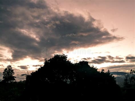 Silhouette Of Trees Under Cloudy Sky Stock Image Image Of Silhouette