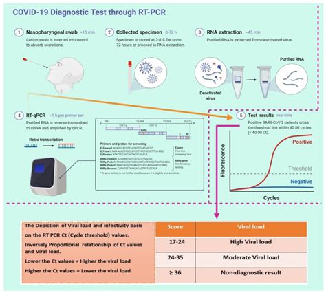 Viral Dynamics And Real Time RT PCR Ct Values Correlation With Disease