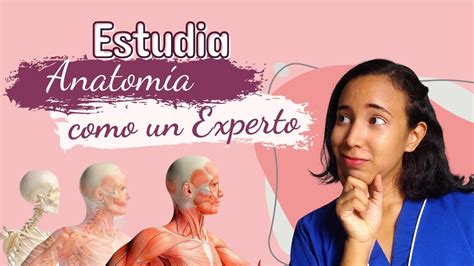 Cómo estudiar anatomía en medicina Saber Estudiar