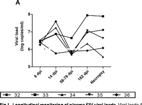 Figure From High Expression Levels Of Blys Baff By Blood Dendritic