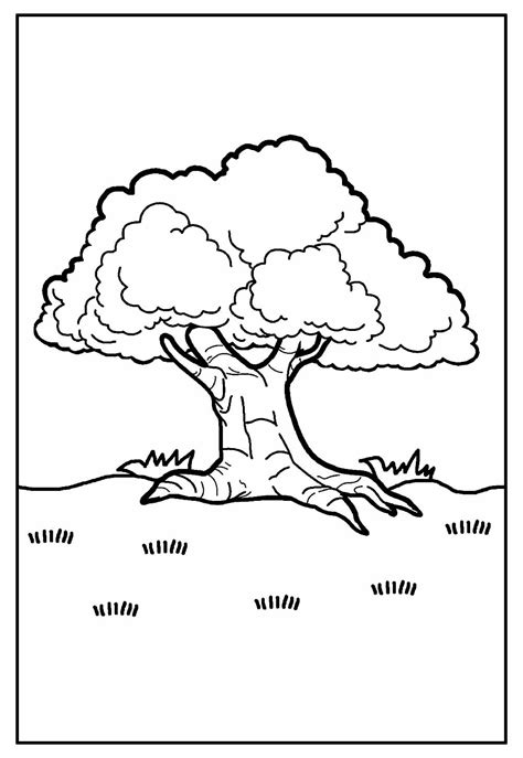 Desenhos De Rvores Para Colorir Bora Colorir