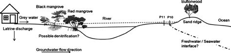 Schematic cross-section of the study area, valid for area around cross ... 