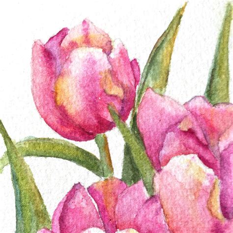 Art Card Of Pink Tulips Watercolor Aceo Original Art Original Etsy