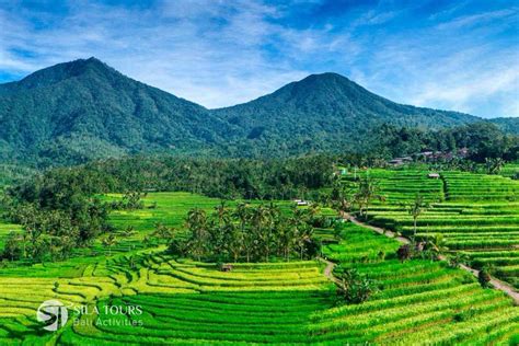 Bedugul Full Day Tour Bali Rafting Atv