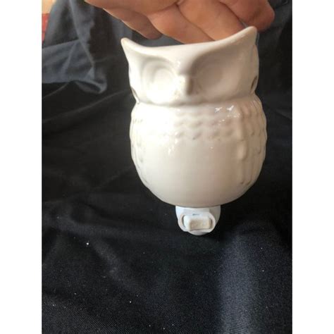 Scentsy Accents Scentsy Owl Whoot Wall Plug In Warmer Poshmark