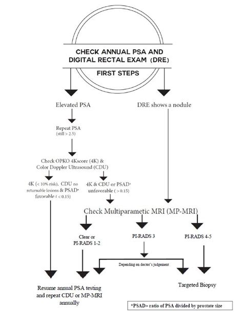 Psa Screening Flowchart Prostate Oncology Specialists