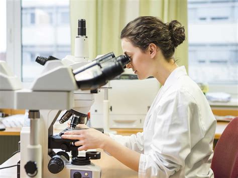 Losing weight may be down to the diversity of microorganisms in the gut ... 