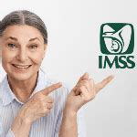 Pasos Para Solicitar La Modalidad 10 Del IMSS En 2024