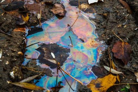 Contaminación Del Suelo Causas Consecuencias Y Soluciones Resumen