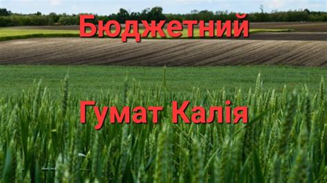 ☝️Бюджетний Гумат Калія із Біогумуса в сухому вигляді ‼️ - YouTube