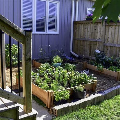 Quelles Sont Les Erreurs Ne Pas Faire Dans Le Potager