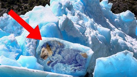 Craziest Discoveries Found Frozen In Ice Youtube