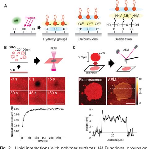 Figure 1 From Membrane Coated 3d Architectures For Bottom Up Synthetic