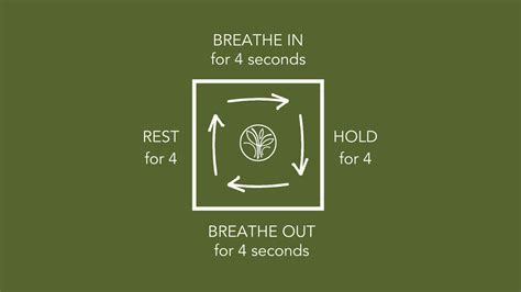 Box Breathing — Holistic Family Chiropractic