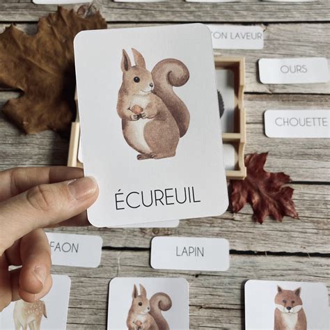 Cartes De Nomenclature For T Schooling Co