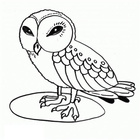 Coloring Pages Of Owl Babies - Coloring Home