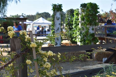 Farmer S Market Vail Headquarters Temecula CA