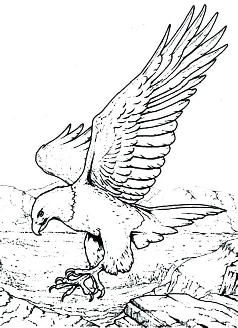 Eagle Flying Coloring Pages At Free Printable