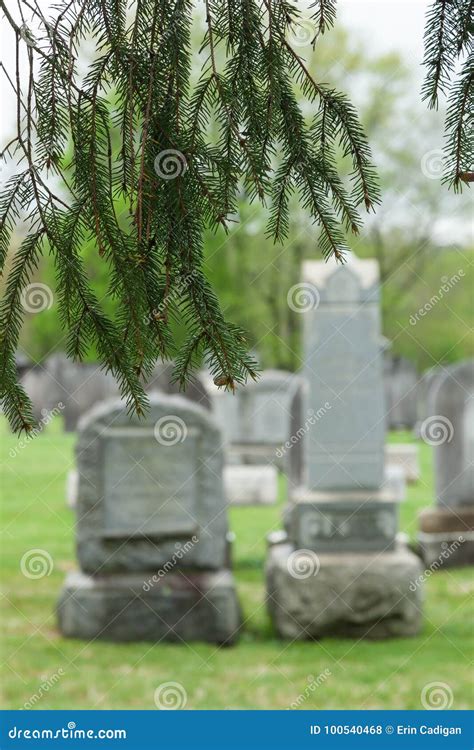 Kingston Cemetery editorial stock photo. Image of monument - 100540468