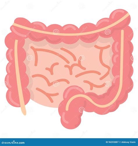 Gut Human Digestive System Icon Vector Illustration Stock Vector