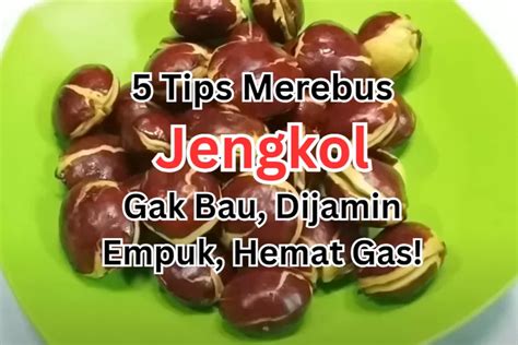 Tips Merebus Jengkol Agar Tidak Bau Dan Dijamin Empuk Cara Ini Juga