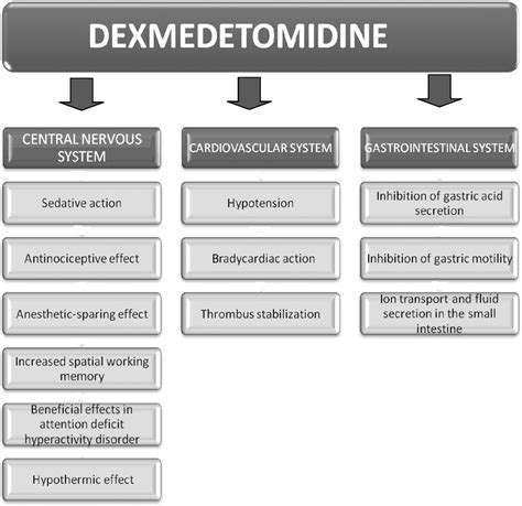 Interaction Between Dexmedetomidine And α Adrenergic Receptors