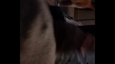 Sockjob Cerca Xvideos