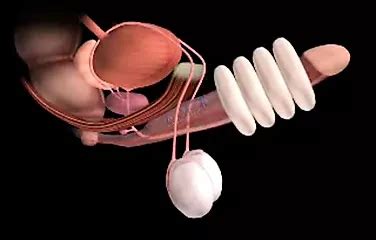 Free Xray Porn Videos Xhamster