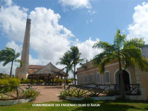 Civilizacao Do Acucar Engenho Olho Dagua Para Ba Criativa