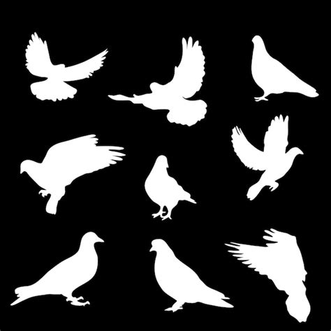 Premium Vector Free Pigeon Silhouette Vector