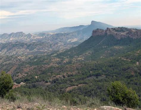 Efectivos Del Plan Infomur Trabajan En El Incendio Forestal En La