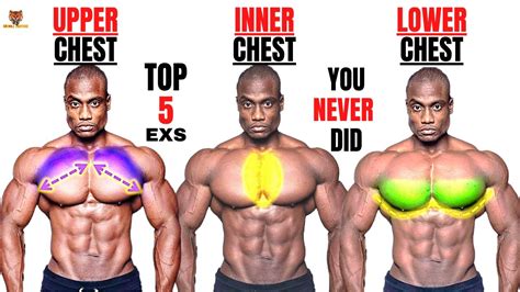 Top Inner Lower And Upper Chest Workout At Gym Meilleurs Exs