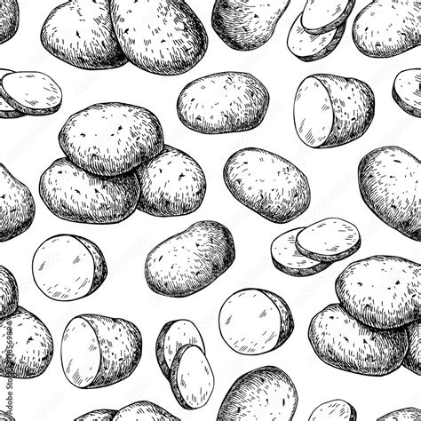 Potato vector seamless pattern. Hand drawn food background. Stock ...