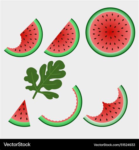 Fresh And Juicy Whole Watermelons Slices Vector Image