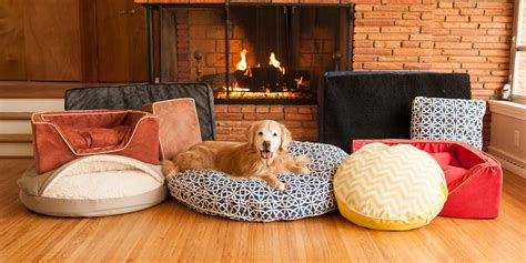 Snoozer Dog Beds and Sofas | Couches | Outdoor | Foam Beds Collection