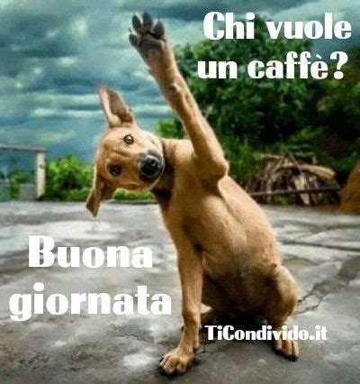 Immagini Di Buongiorno Con Frasi Divertenti Da Scaricare Gratis