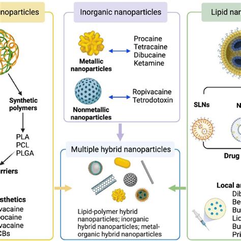 Currently Applied Nanoparticle Based Drug Delivery Systems For Local