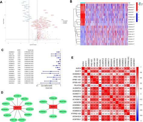 Frontiers Identification And Validation Of A Three Pyroptosis Related