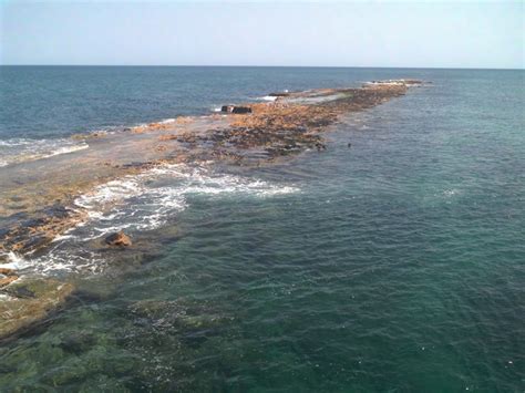 Snorkelling at Port Noarlunga Beach