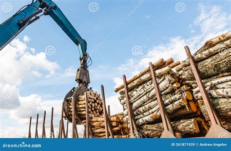 Log Loader or Forestry Machine Loads a Log Truck Stock Image - Image of ...